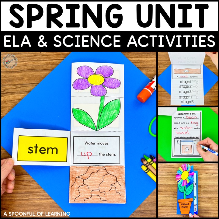 All About Plants and spring activities included in this unit
