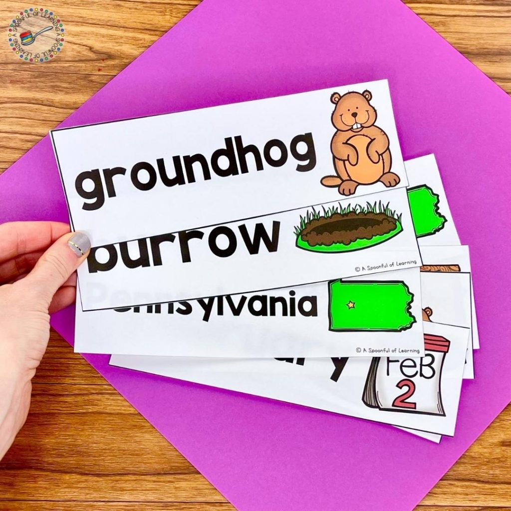 Vocabulary cards to go along with the new learning about Groundhog Day. These Groundhog Day vocabulary cards are perfect to add to a pocket chart or bulletin board to display.
