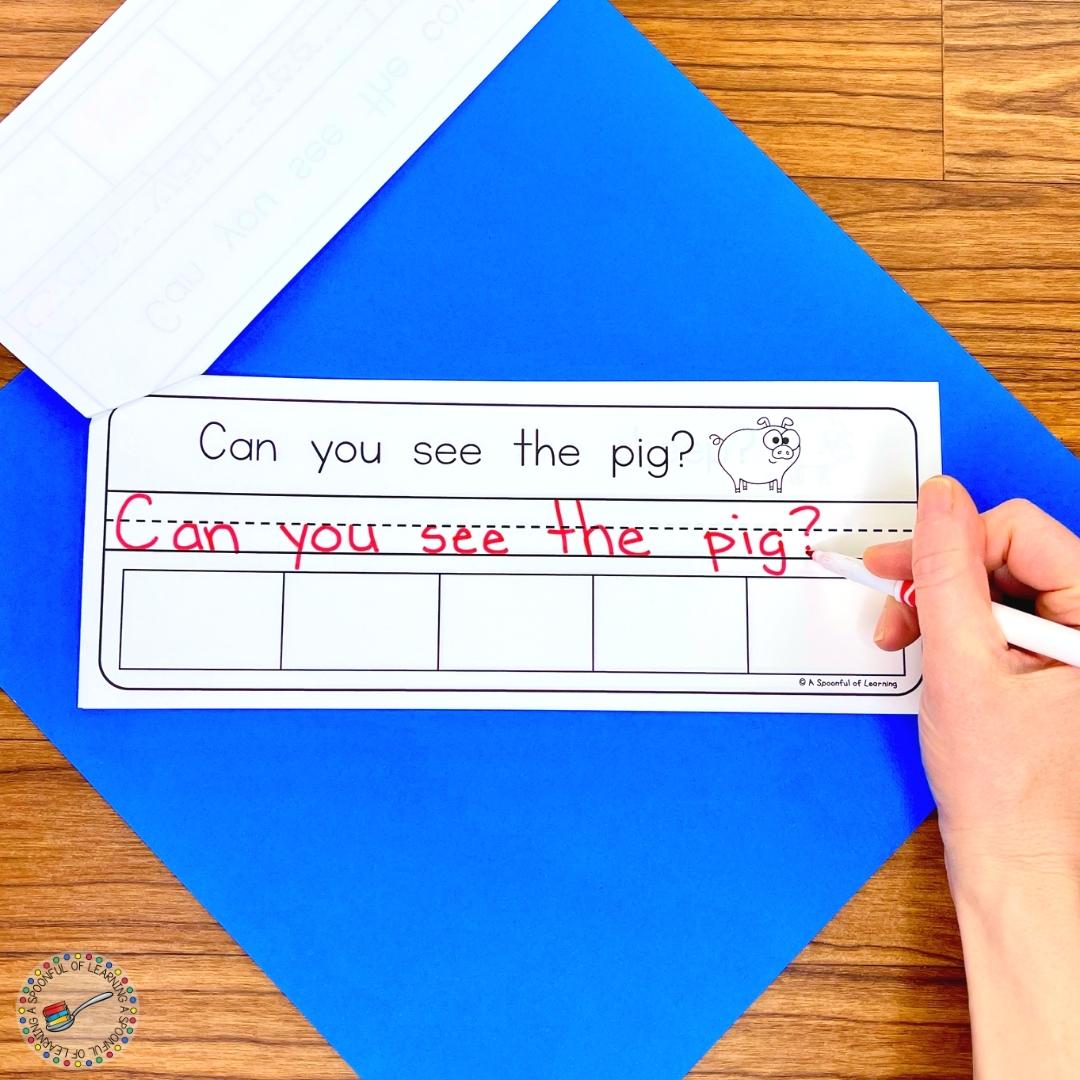 Writing the sight word sentence in red marker.