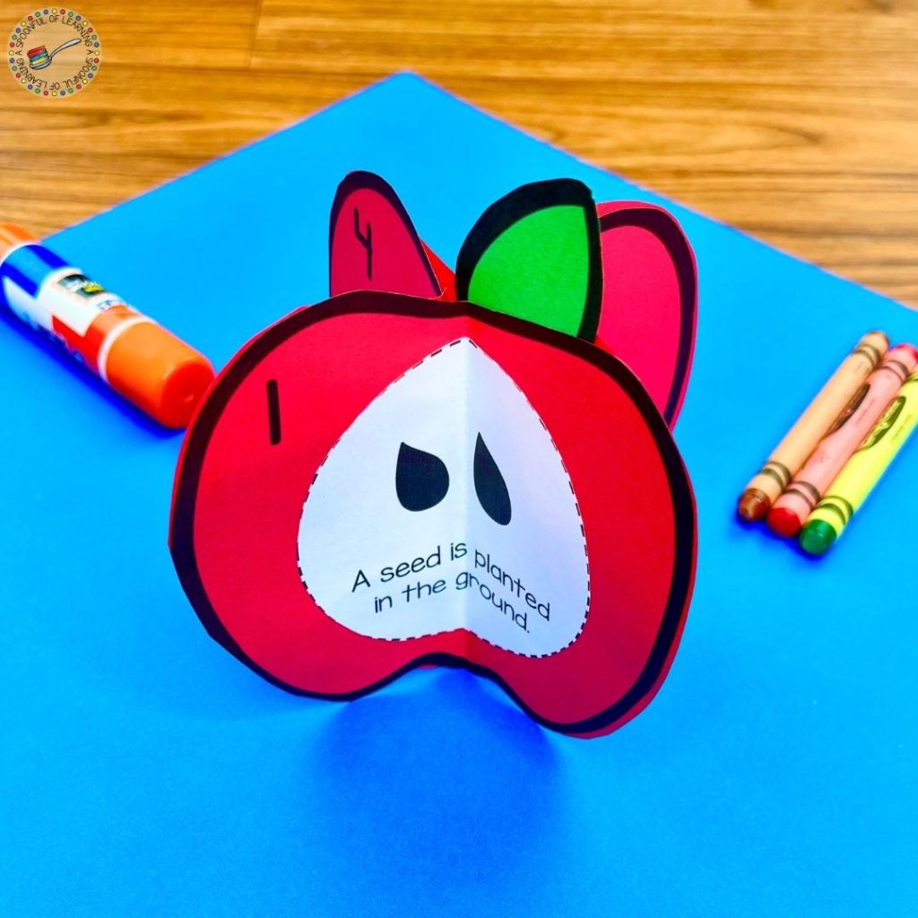 3D apple life cycle craft