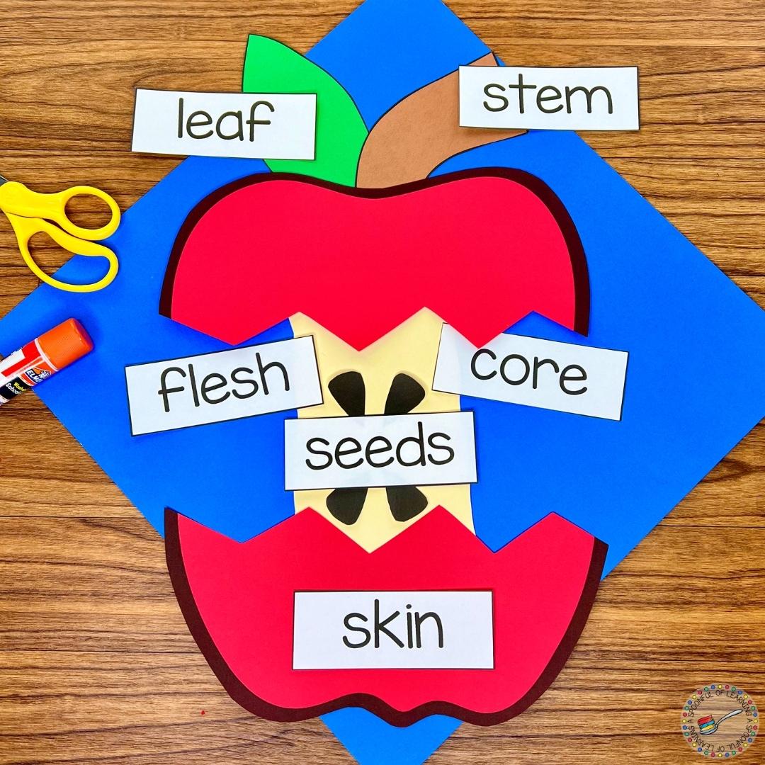 Hands-On Apple Unit for Kindergarten - A Spoonful of Learning