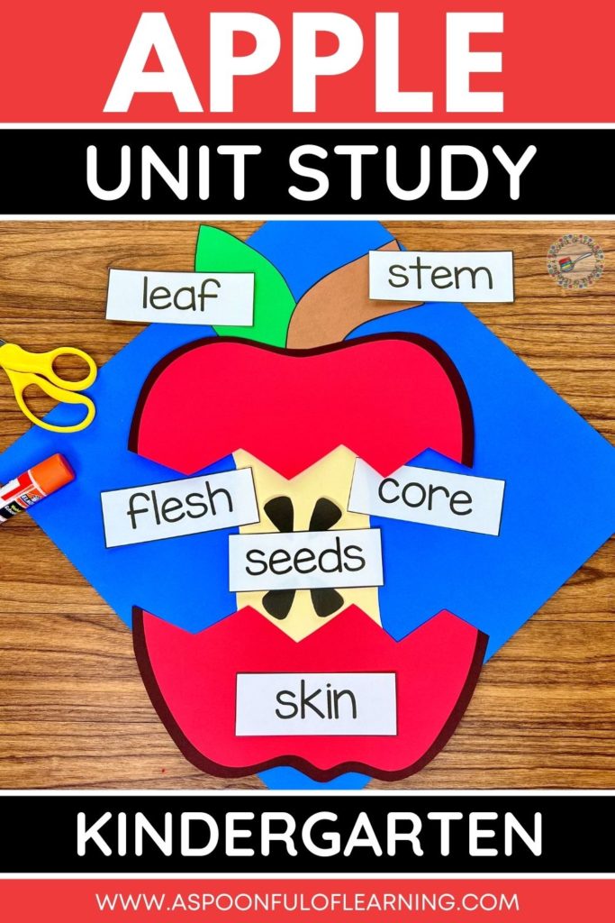 Apple unit study for kindergarten