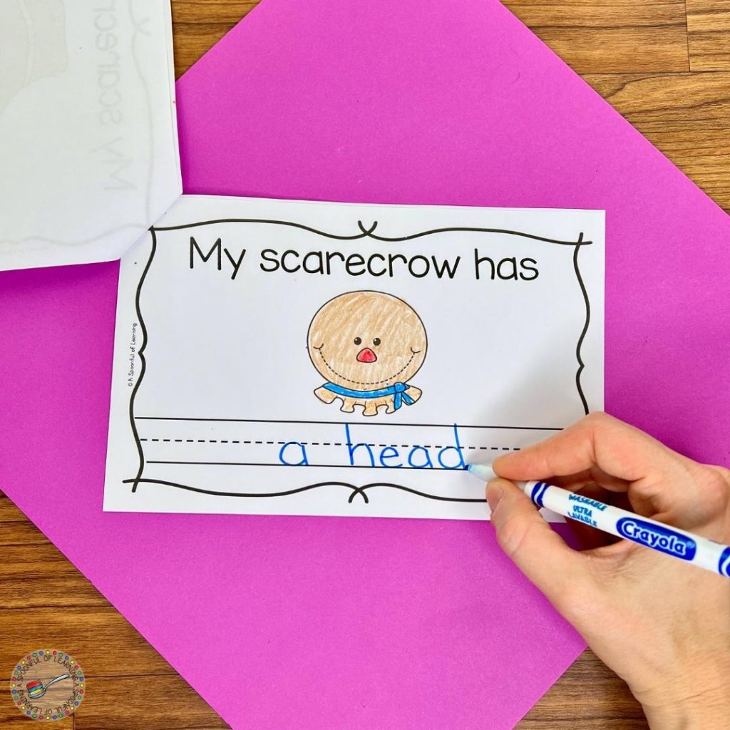 Writing in a scarecrow mini reader