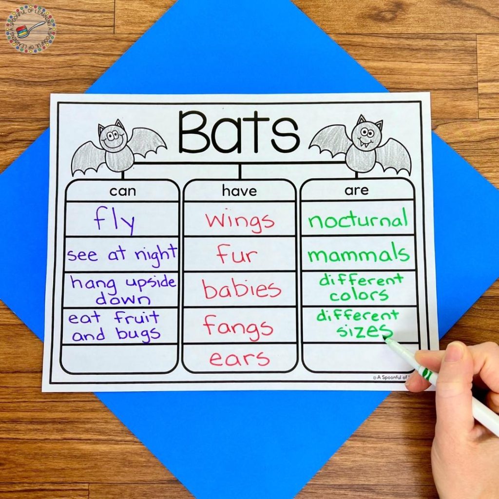 A completed graphic organizer with facts about bats