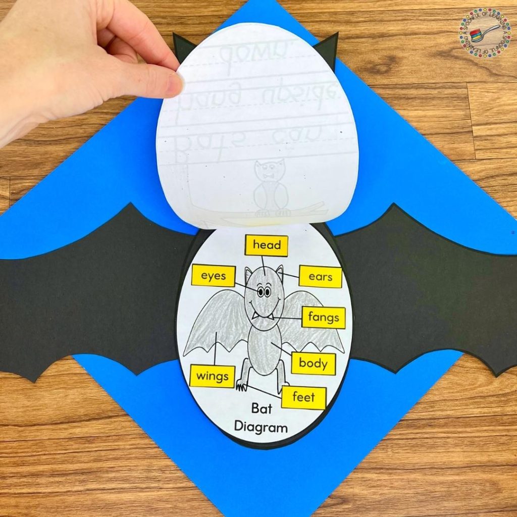 A page showing the parts of a bat
