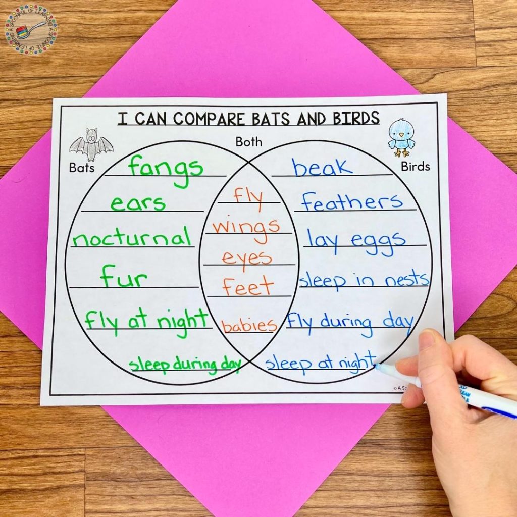 Comparing bats and birds Venn diagram worksheet