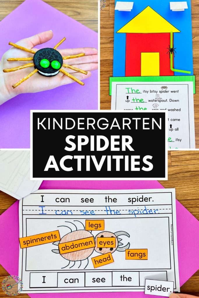 Kindergarten Spider Activities
