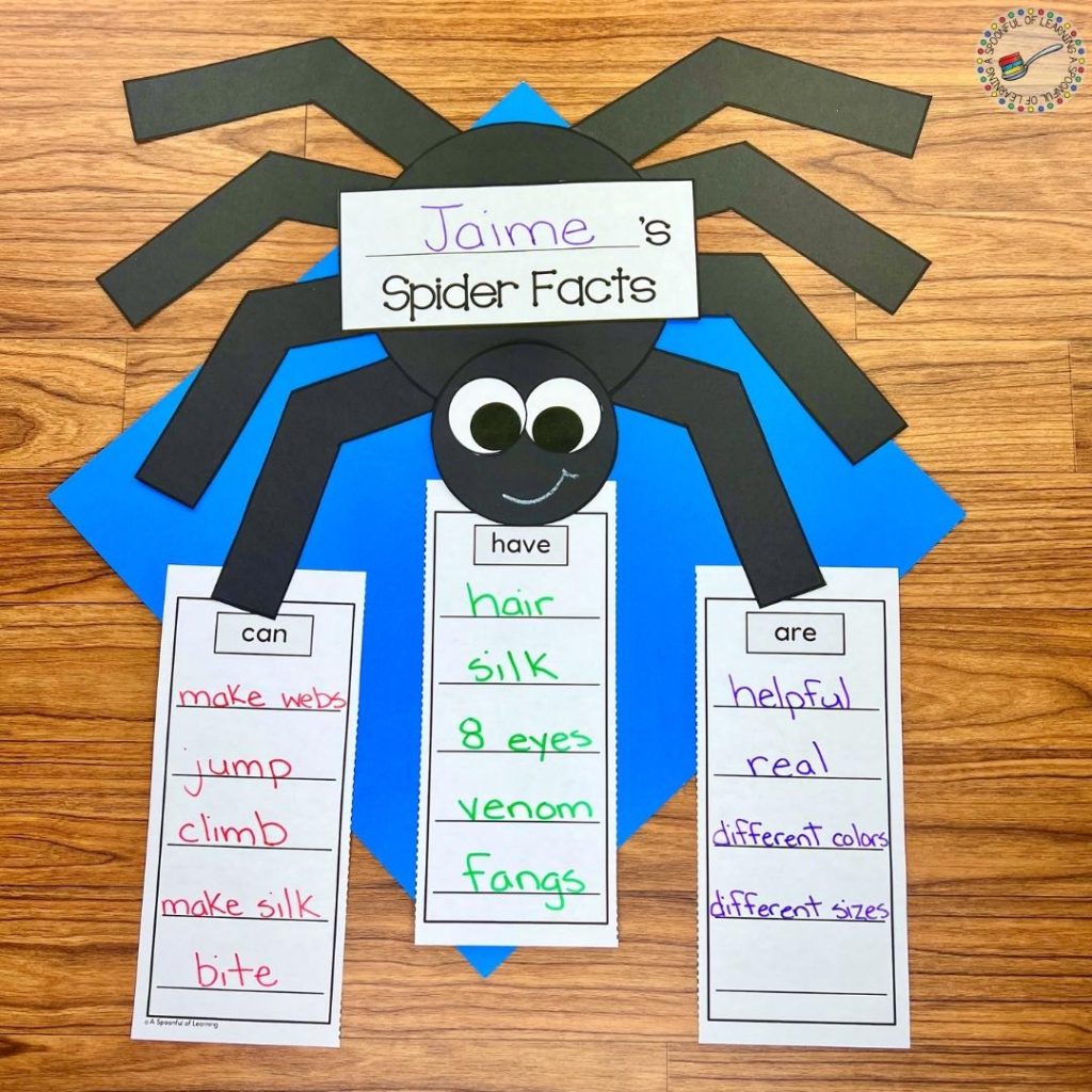 A completed spider facts craft