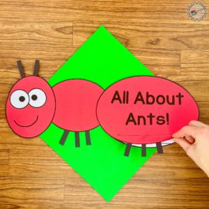 Fun Insect Activities for Kindergarten - A Spoonful of Learning