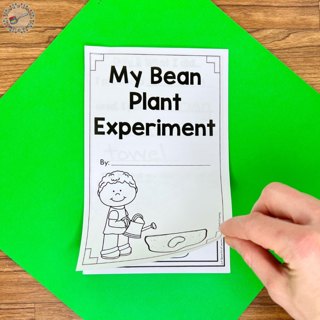 Front cover of bean plant experiment book
