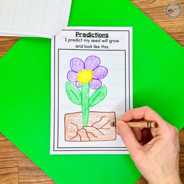 Spring Thematic Unit for Kindergarten - A Spoonful of Learning