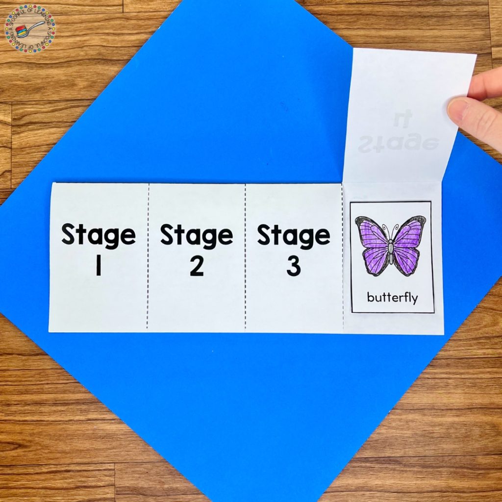 Lifting the flap of Stage Four a butterfly life cycle craft