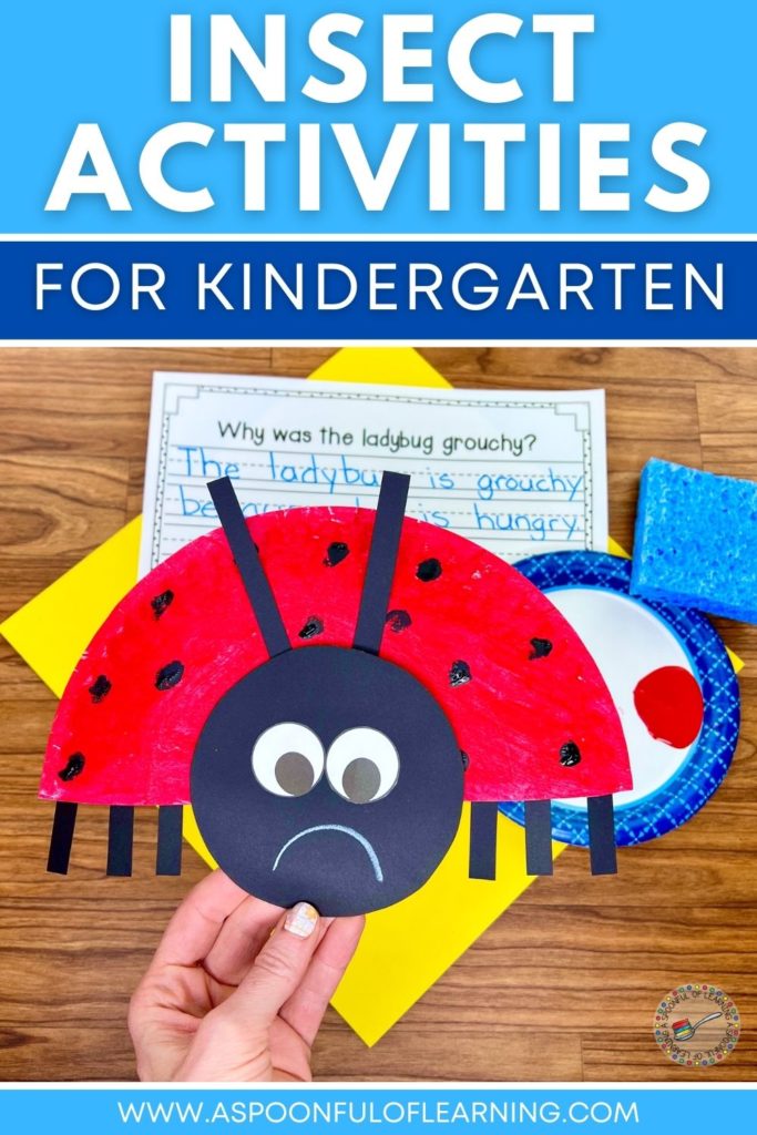 Insect activities for kindergarten