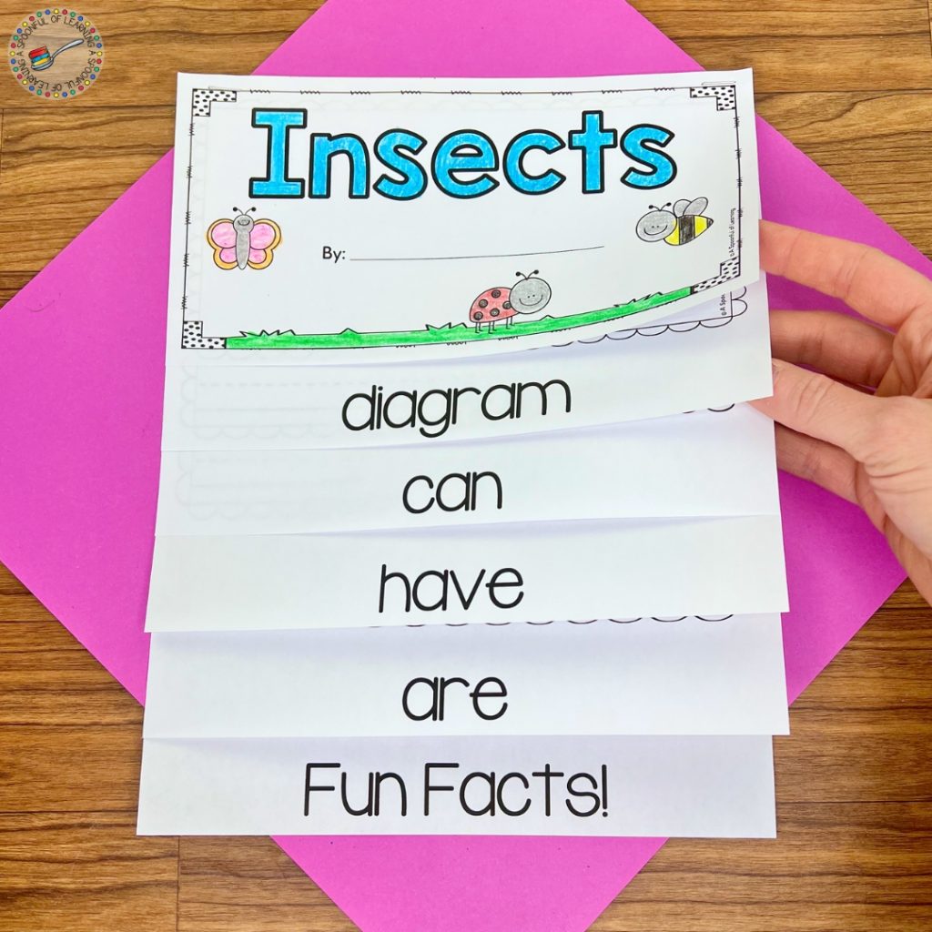 Insects informative writing flipbook