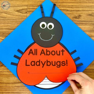 Fun Insect Activities For Kindergarten - A Spoonful Of Learning