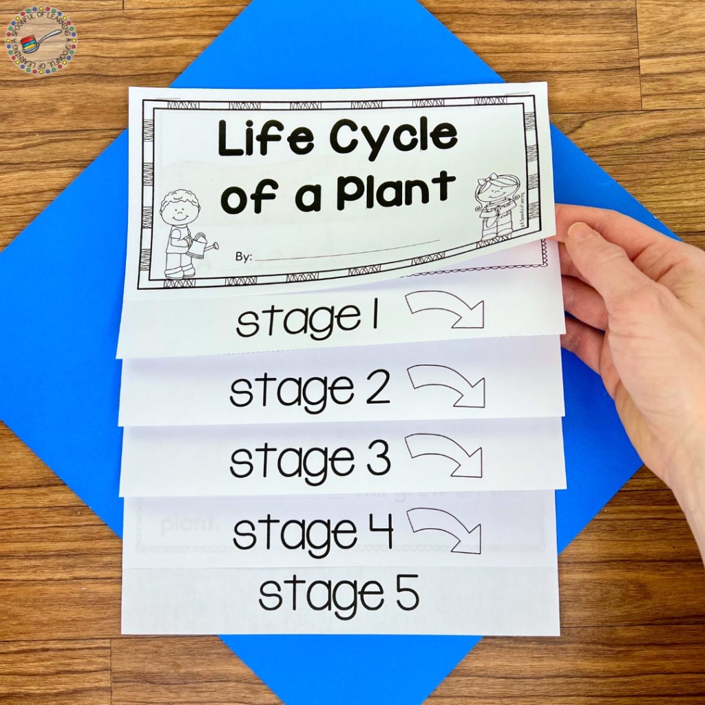 Life cycle of a plant flip book