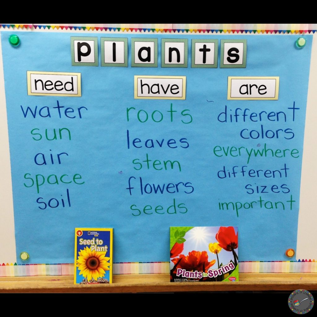 Plants anchor chart on blue paper