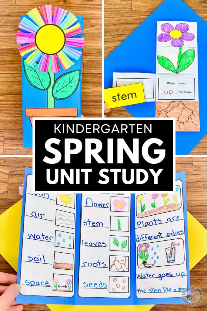 Kindergarten spring unit study