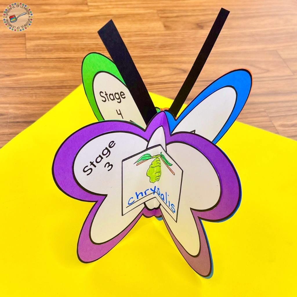 Butterfly life cycle craft