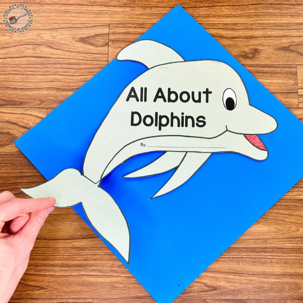 All About Dolphins craft