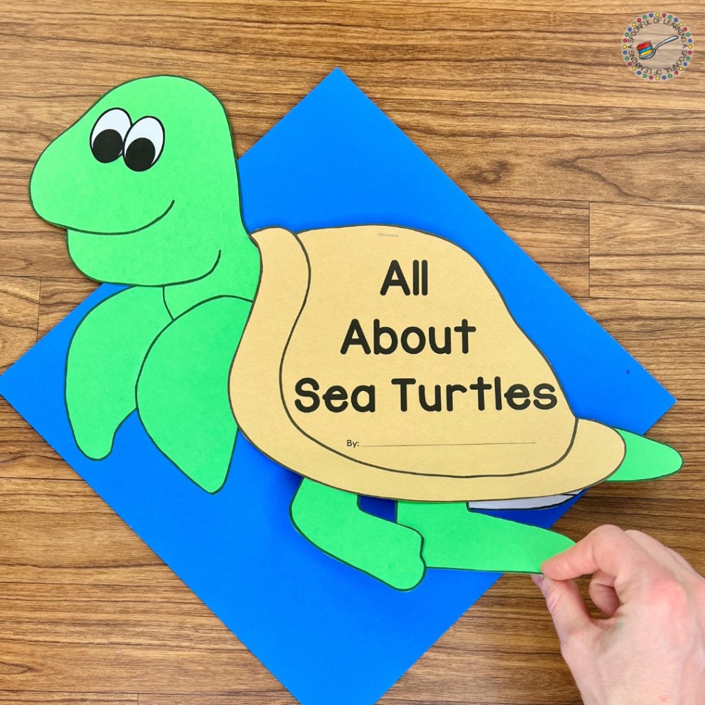 All About Sea Turtles craft