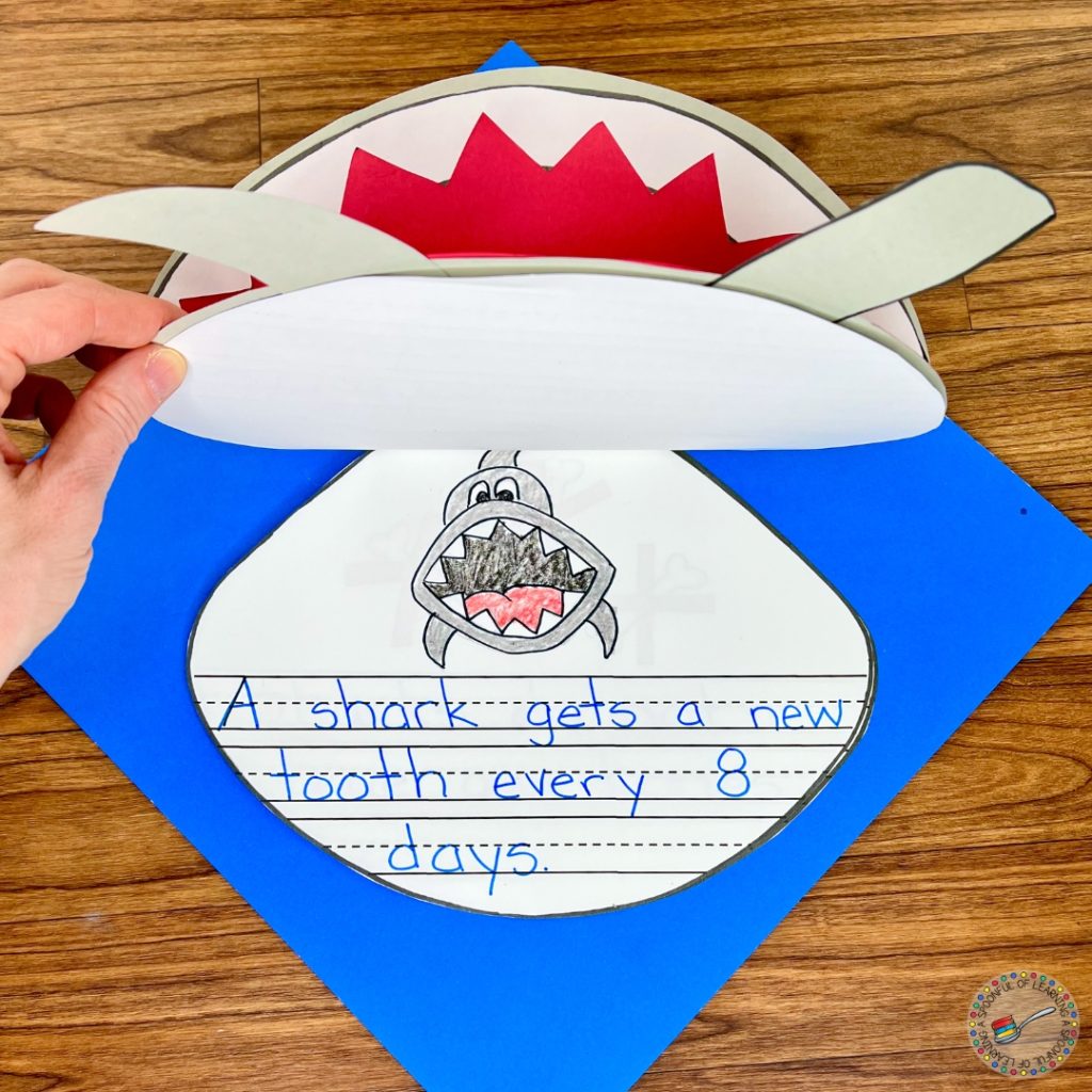 All About Sharks writing activity