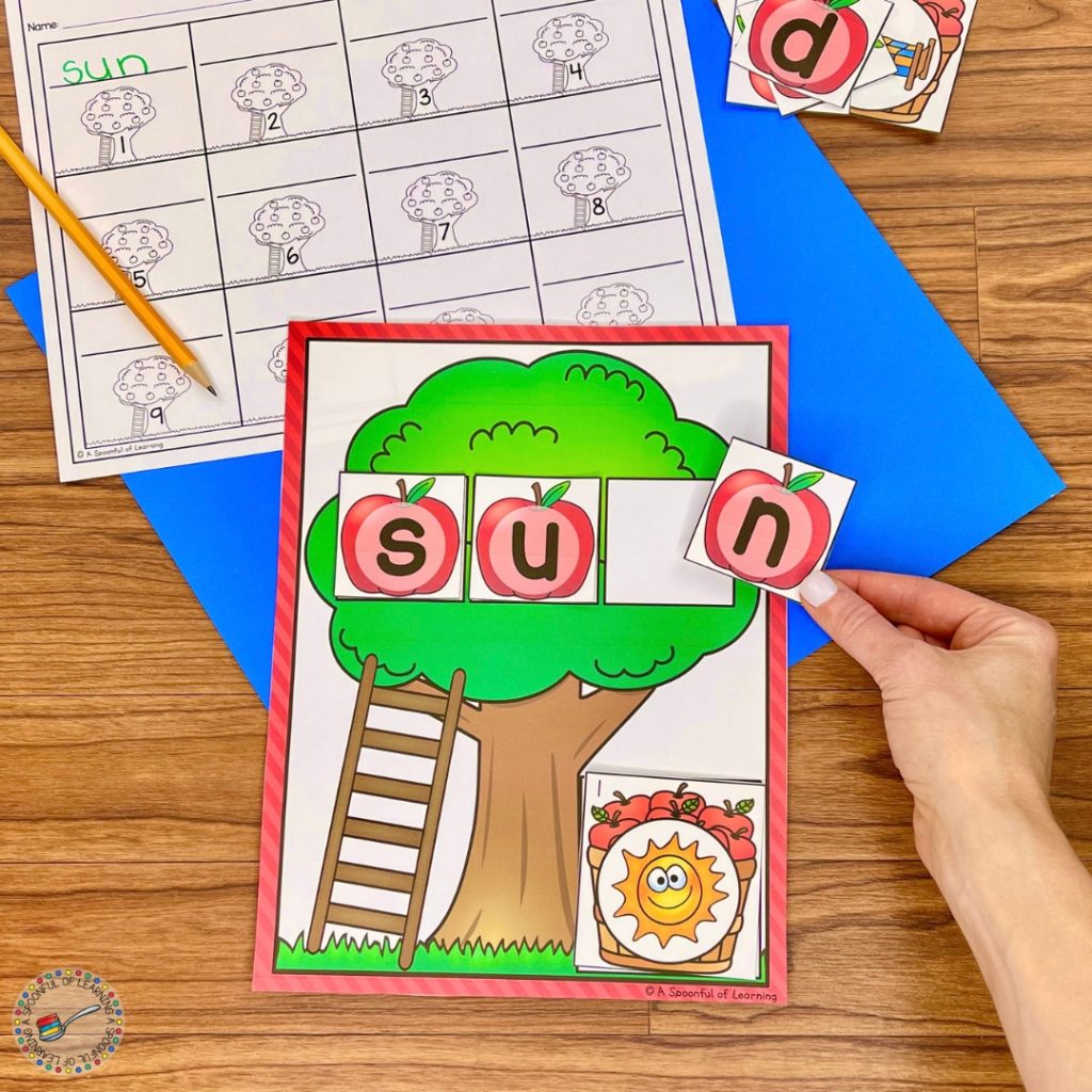Spelling the word "sun" by placing apple letter cards on a tree.