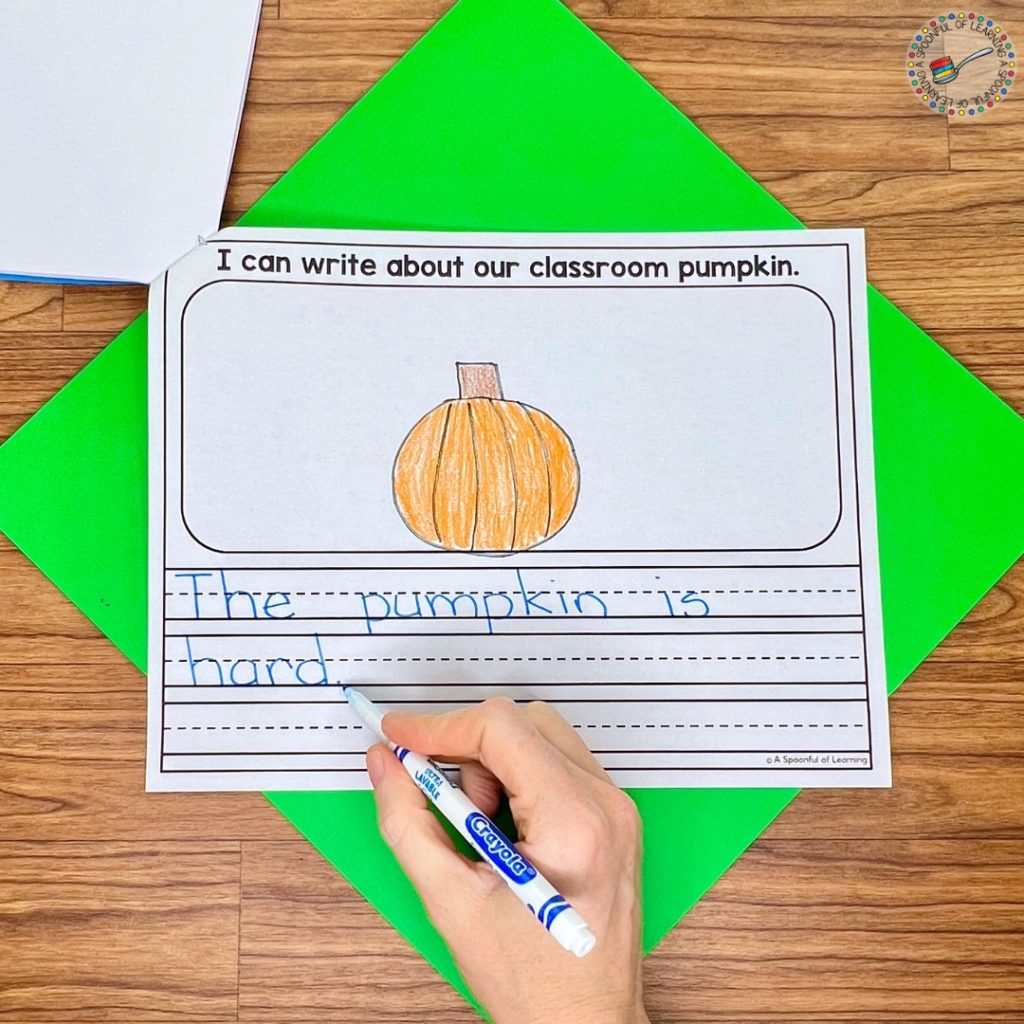 Writing and illustrating a sentence about the class pumpkin