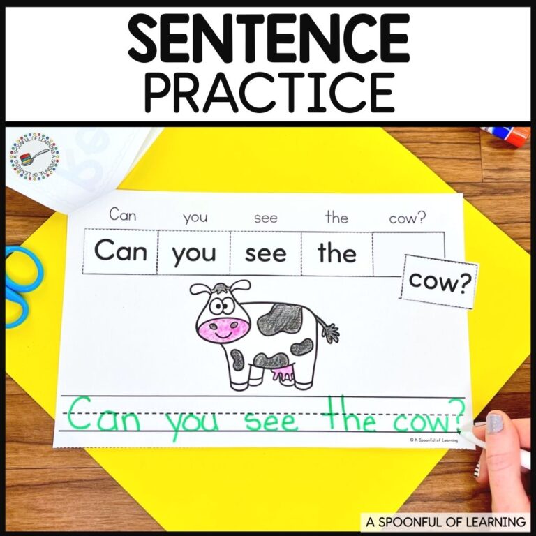 Sentence Practice